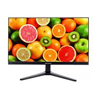 23.8" Монитор Hikvision DS-D5024F2-2P2 черный [1920x1080@100 Гц, VA, LED, 1300:1, 300 Кд/м², 178°/178°, HDMI, VGA]