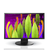 Монитор Eizo EV2216W [22"/1680x1050, 16:10, 250кд/кв.м, 60Гц, 1000:1,DVI,DP]