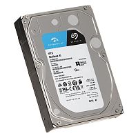 Жесткий диск Seagate SkyHawk AI ST10000VE001 [10 ТБ, 3.5", SATA 6 Гбит/с, 256 МБ]