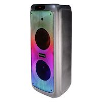 Портативная колонка Microlab PT1000W [80 Вт RMS, Bluetooth 5.0]