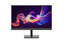 23.8" Монитор Hikvision DS-D5024F2-AP2 черный [1920x1080@100 Гц, IPS, LED, 4000:1, 250 Кд/м², 178°/178°, HDMI, VGA]